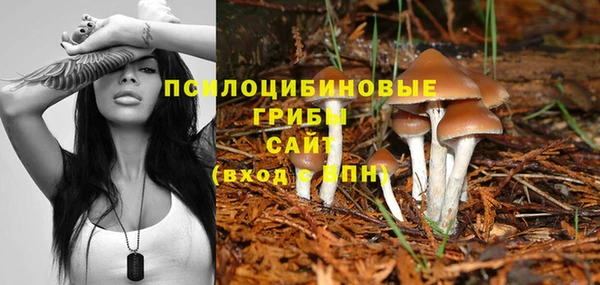 кокс Саяногорск
