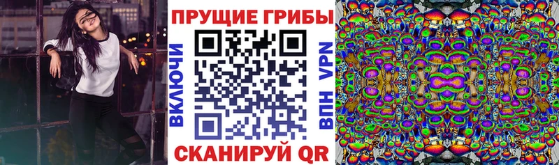 купить наркотики цена  Кудымкар  Псилоцибиновые грибы Magic Shrooms 